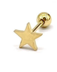 Oorpiercing ster goud-LAcollections