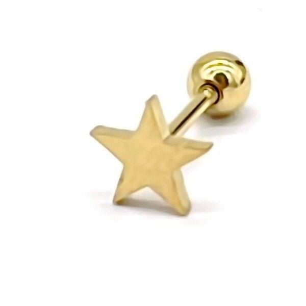 Oorpiercing ster goud-LAcollections